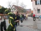 maibaum_2012009_small.jpg