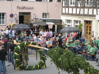 maibaum_2012016.jpg