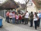 maibaum_2012030_small.jpg