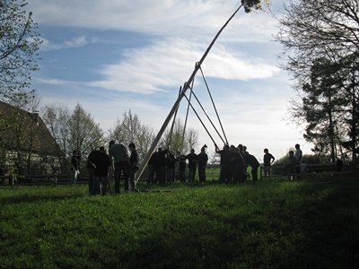 maibaum_2012neuhausen25.jpg