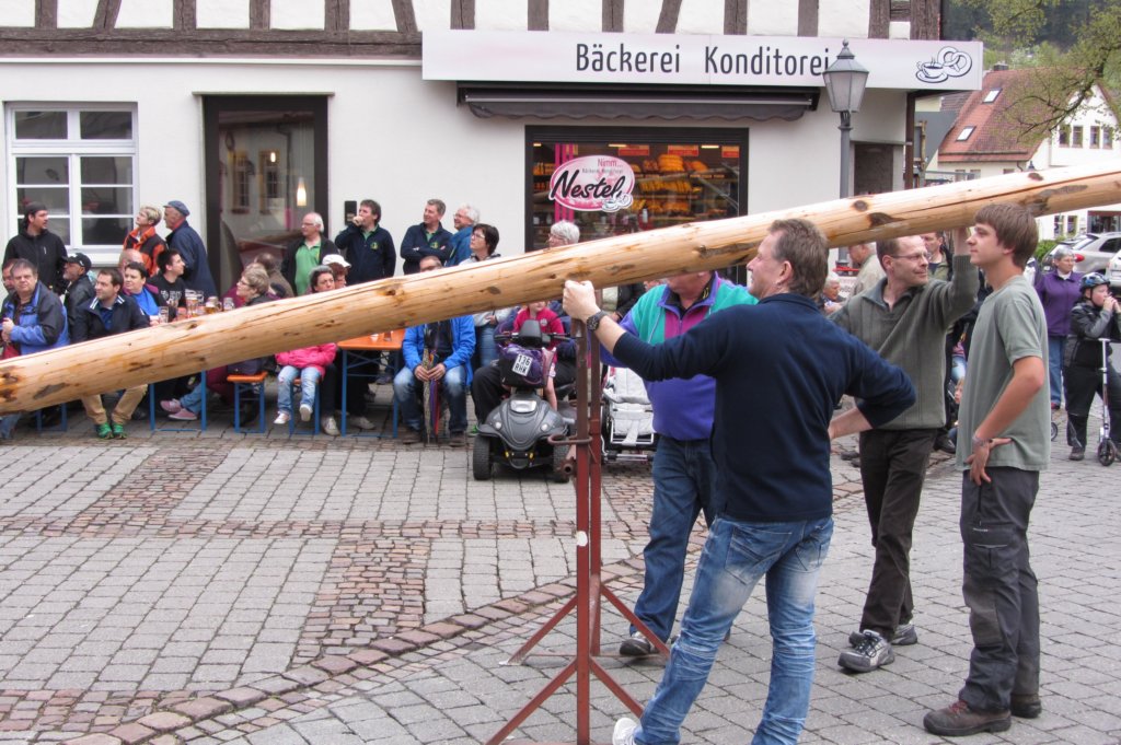 fzmaibaum11.jpg