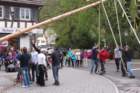 fzmaibaum22_small.jpg