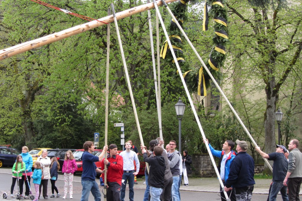 fzmaibaum24.jpg