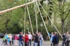 fzmaibaum24_small.jpg