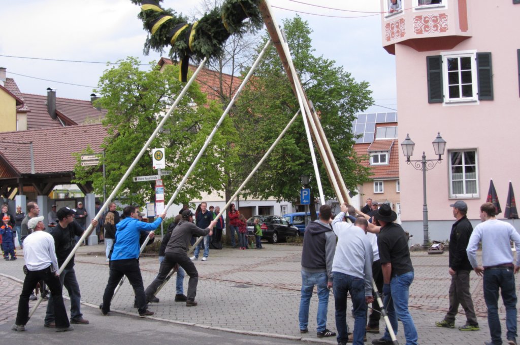 fzmaibaum30.jpg