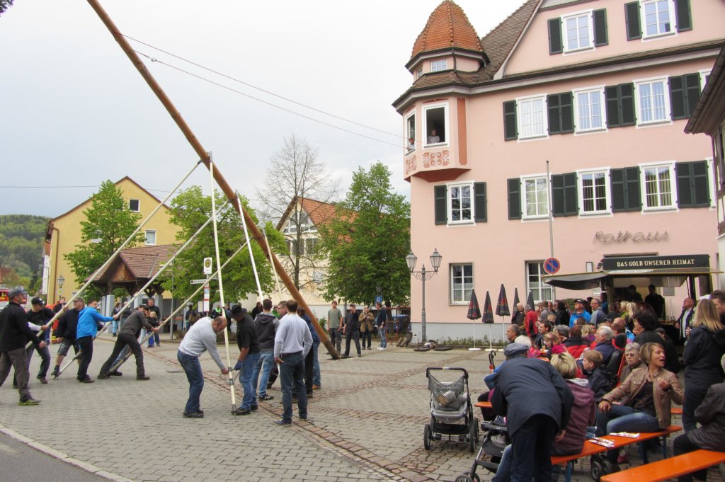 fzmaibaum34.jpg