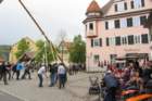 fzmaibaum34_small.jpg