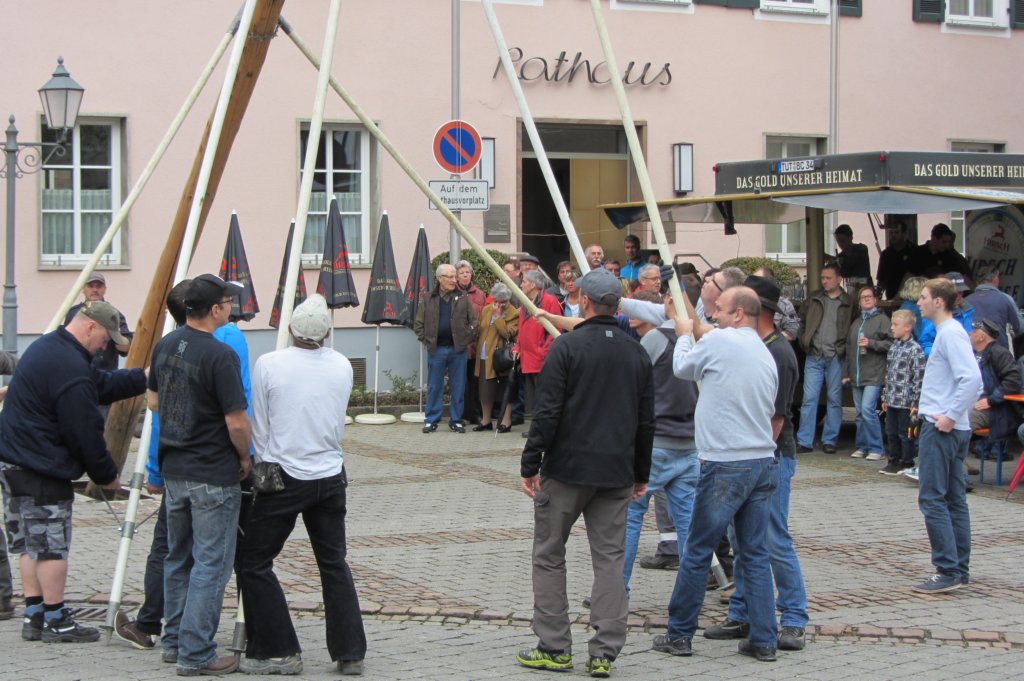 fzmaibaum35.jpg