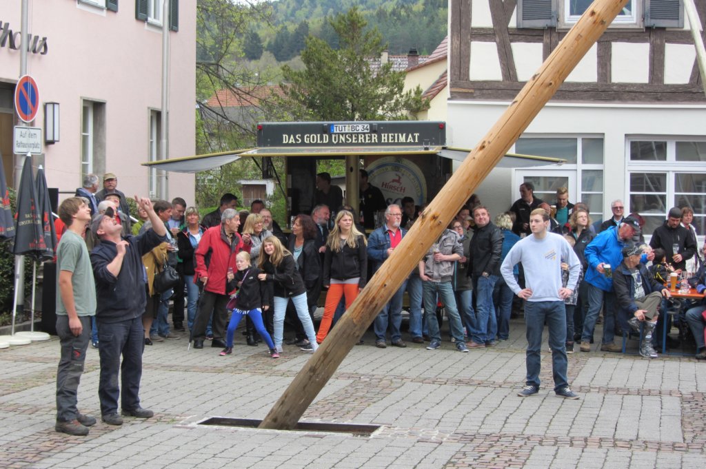 fzmaibaum38.jpg