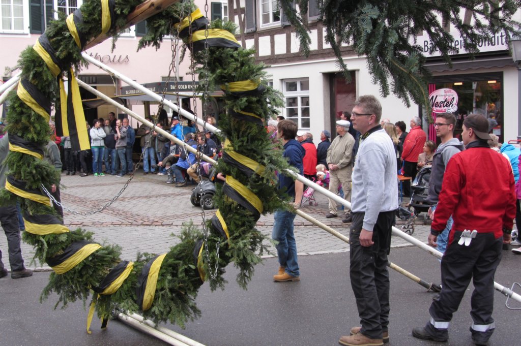 fzmaibaum5.jpg