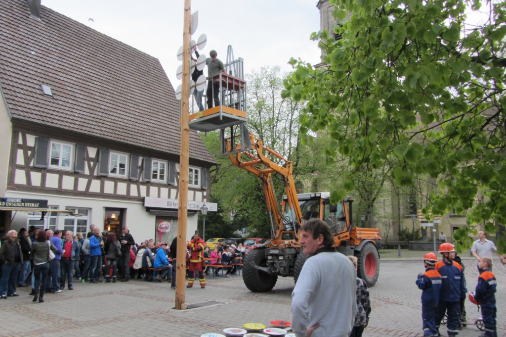 fzmaibaum55.jpg