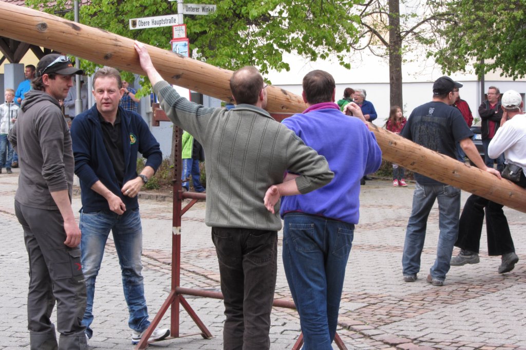 fzmaibaum8.jpg